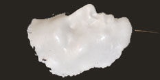 formplast maske